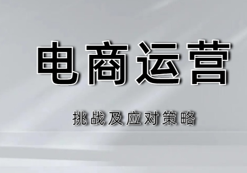 挑战及应对策略[1].png